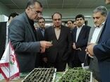 بررسی مسائل و مشکلات بازارچه مرزى پرویزخان در هیأت دولت