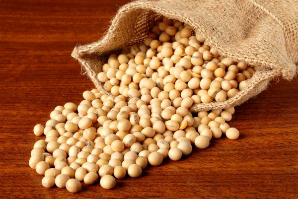 واردات 25 میلیون دلار لوبیای سویا از آمریکا در دوماهه نخست سال