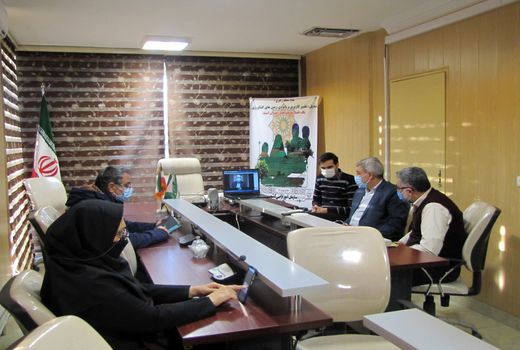 اجرای ۴۸۰ مورد حکم تخریب ساخت و ساز غیر مجاز در اراضی کشاورزی
