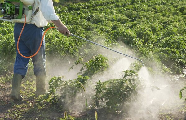 طرح نظارت بر فروشگاه‌های سموم دفع آفات نباتی اجرا می‌شود