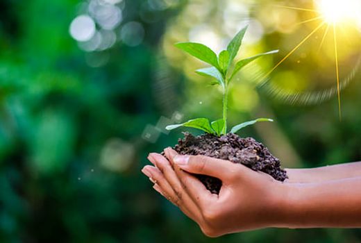 حمایت از مدیریت پایدار منابع خاک یک وظیفه جهانی است