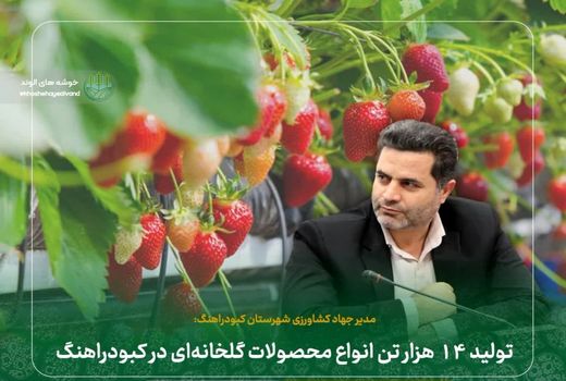 تولید ۱۴ هزار تن انواع محصولات گلخانه‌ای در کبودراهنگ 