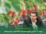تولید ۱۴ هزار تن انواع محصولات گلخانه‌ای در کبودراهنگ 