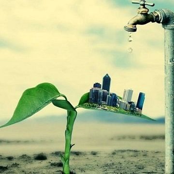 آب و امنیت غذایی؛ شکاف میان سیاست‌های اجرایی و سند ملی دانش‌بنیان