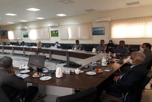 انجام مبارزه با ملخ صحرایی در سطح 1 میلیون هکتار از اراضی