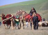 سال ۲۰۲۶ سال بین‌المللی مرتع و عشایر / تدوین برنامه ملی برای بهره‌برداری از فرصت جهانی ضروری است