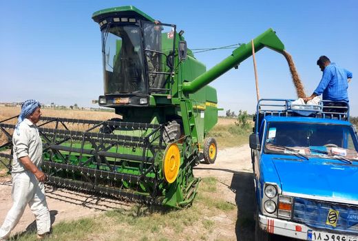پایان برداشت محصولات زراعی پاییزه در کارون