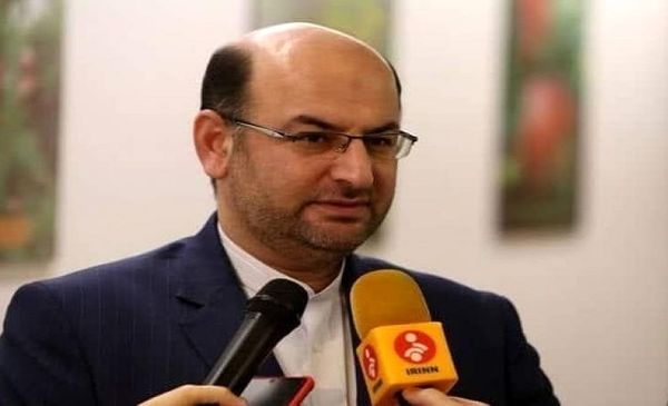 آغاز کشت قراردادی پنبه، چغندرقند، کلزا و سورگم در سال‌جاری 