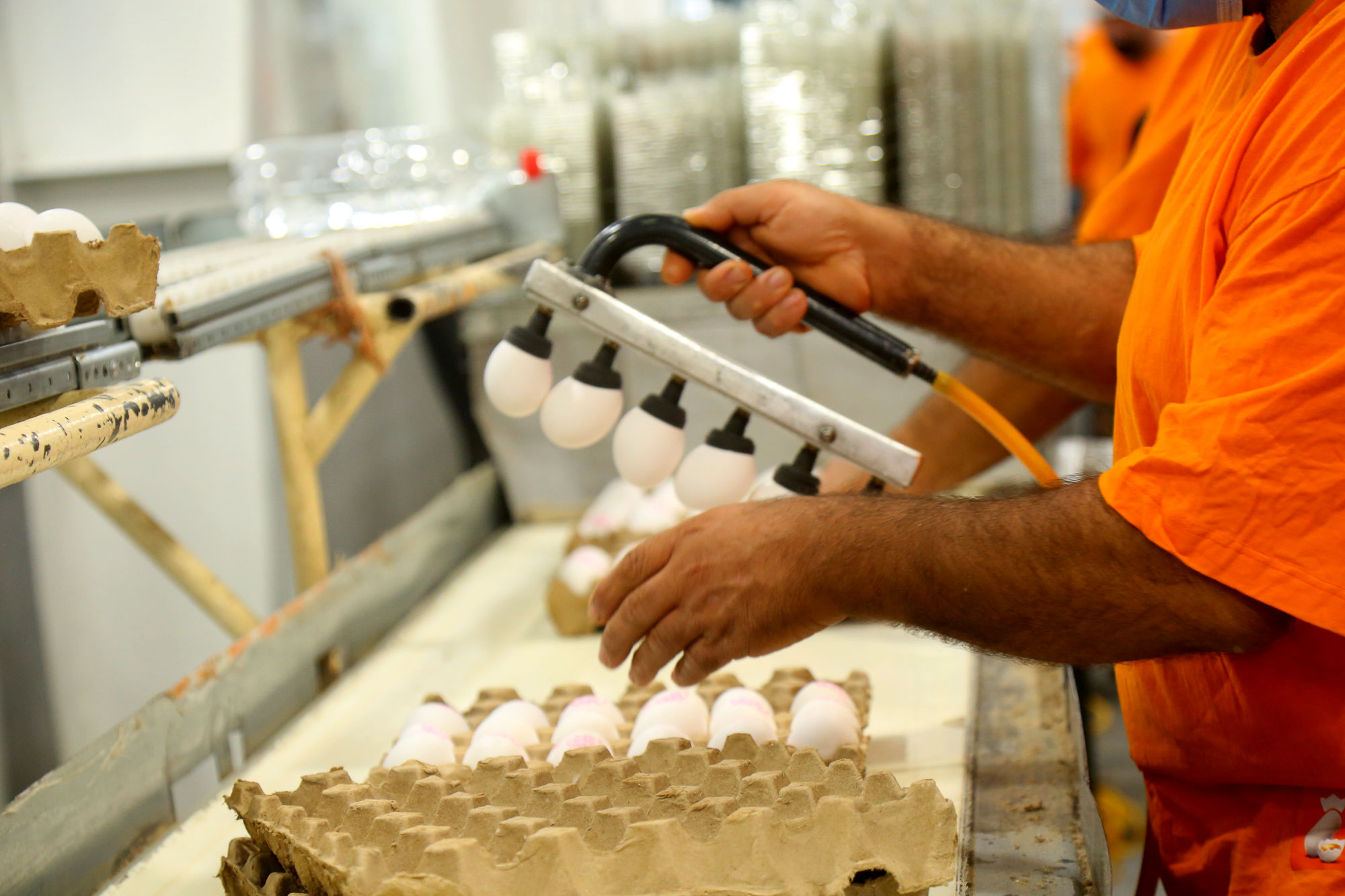 تور رسانه ای به مناسبت هفته دامپزشکی 