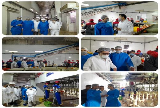 بازدید مسئول حوزه نمایندگی ولی فقیه سازمان از فعالیت کشتارگاه قاین طیور