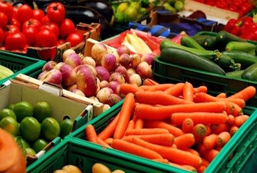 اجرای 5 پروژه دانش‌بنیان برای افزایش کیفیت محصولات کشاورزی 