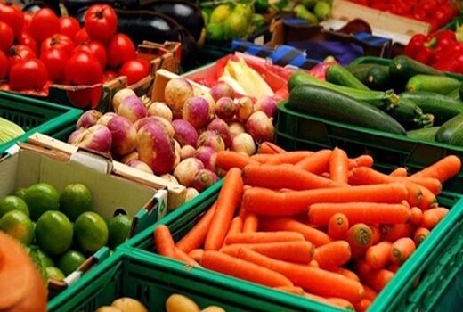 اجرای 5 پروژه دانش‌بنیان برای افزایش کیفیت محصولات کشاورزی 