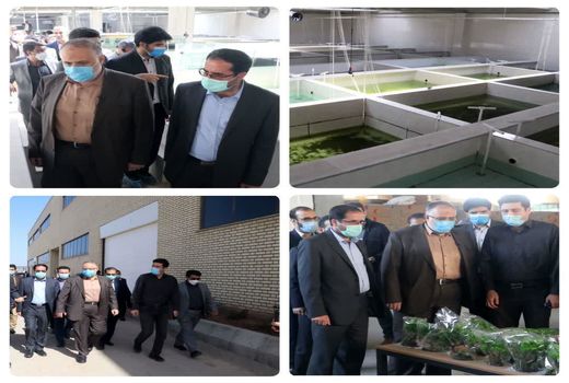 بازدید استاندار قزوین از بزرگترین واحد تولید ماهیان زینتی مسقف جهان