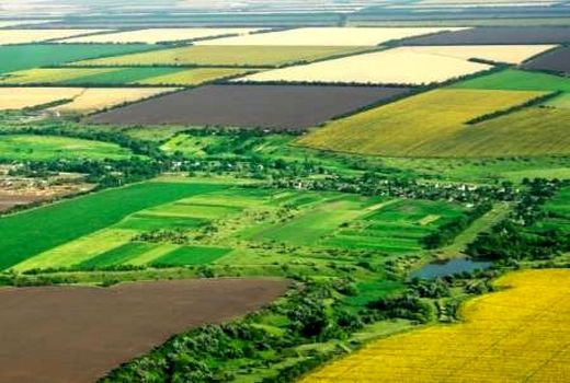 عرصه‌های منابع طبیعی شهرستان کازرون سند دار شد