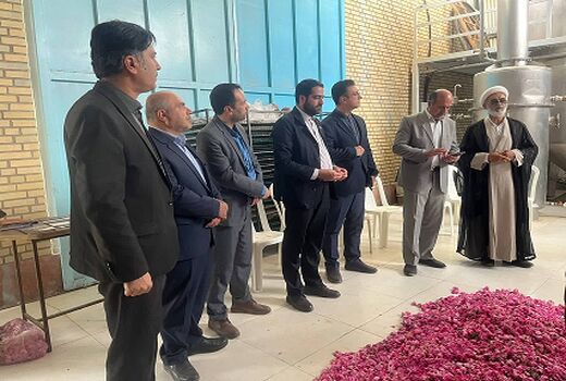 جشنواره گلاب‌گیری در وامنان برگزار شد
