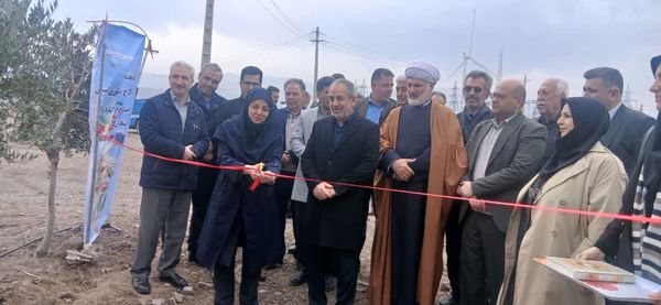 ۵۱ پروژه کشاورزی در قزوین با حضور رئیس سازمان حفظ نباتات افتتاح شد