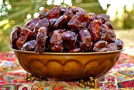 نوسازی و جایگزینی ارقام بومی خرما در خرمشهر