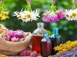 کشت گیاهان دارویی، راهی برای توسعه پایدار در استان چهارمحال وبختیاری 