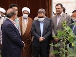  افتتاح اولین گلخانه هیدروپونیک تولید صیفی جات در شهرستان ازنا