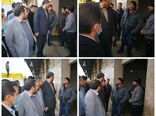 عرضه گوشت مرغ گرم در استان تهران از طریق سامانه ستکاوا آغاز شد