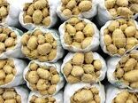 بازار سیب‌زمینی در مسیر آرامش؛ ورود محصول بهاره پس از التهابی چندماهه