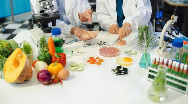از طراحی فرمول تا تولید صنعتی؛ خدمات تحقیق و توسعه در کنار صنایع غذایی