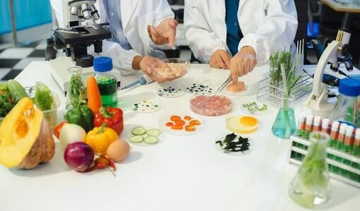 از طراحی فرمول تا تولید صنعتی؛ خدمات تحقیق و توسعه در کنار صنایع غذایی