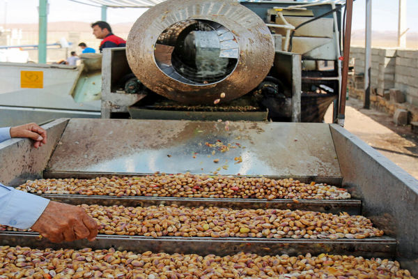 صدور ۸ پروانه بهره‌برداری صنایع تبدیلی کشاورزی در استان قزوین