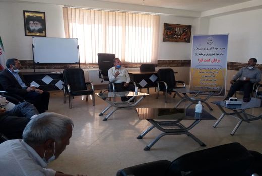 کلزا کاران شهرستان ملارد تقدیر شدند