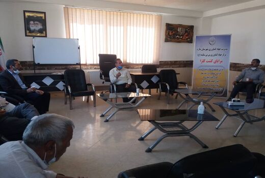 کلزا کاران شهرستان ملارد تقدیر شدند