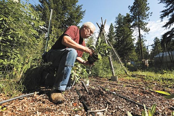 الگوبرداری و همگام‌شدن با طبیعت از اهداف بزرگ پرماکالچر است