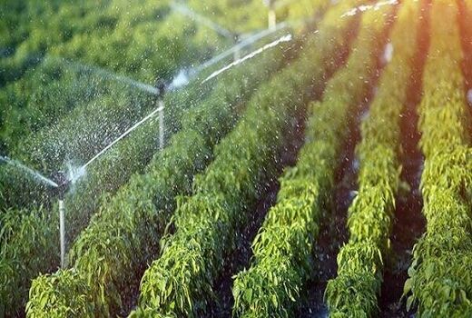 طرح‌های نوین آبیاری در ۱۳۰هزارهکتار ازاراضی کشاورزی اصفهان اجراشد
