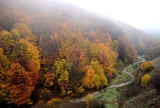 طبیعت پاییز در رودبار گیلان  