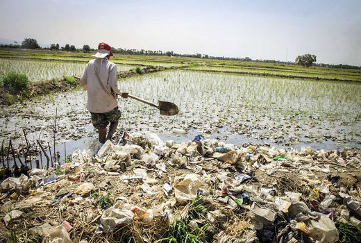  آب سالم تامین کنید تا کشاورز سراغ فاضلاب نرود 