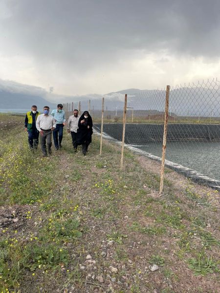 بازدید رئیس سازمان جهاد کشاورزی استان قزوین از ایستگاه پمپاژ قوشچی و مرتضانک در طارم سفلی