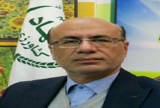 خریداری 1500 راس دام از عشایر استان ایلام