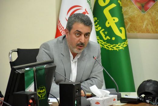 آنفولانزای فوق حاد پرندگان در آذربایجان شرقی مشاهده نشده است