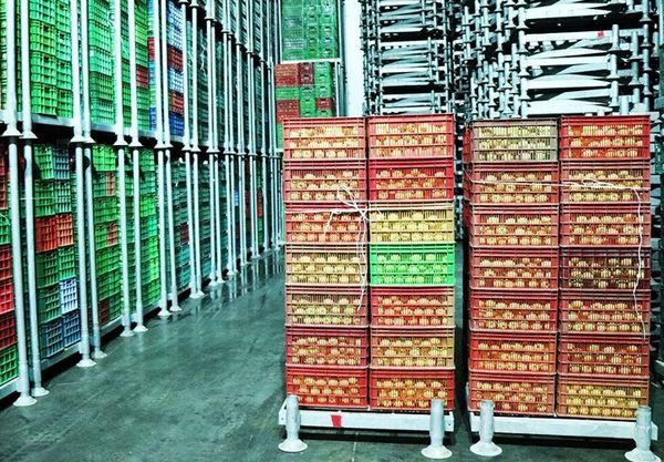 فعالیت ۱۳۳ سردخانه به ظرفیت 408 هزار تن در استان آذربایجان شرقی