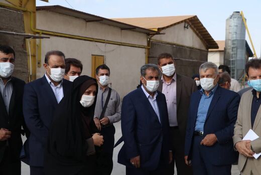 بازدید استاندار قزوین از واحدمرغ تخمگذار در شهرستان تاکستان