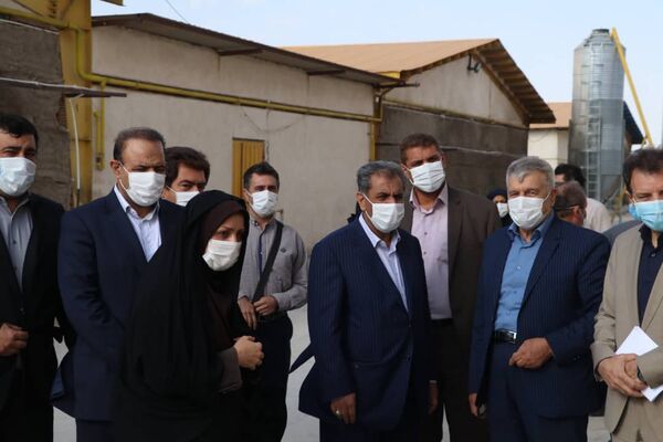 بازدید استاندار قزوین از واحدمرغ تخمگذار در شهرستان تاکستان