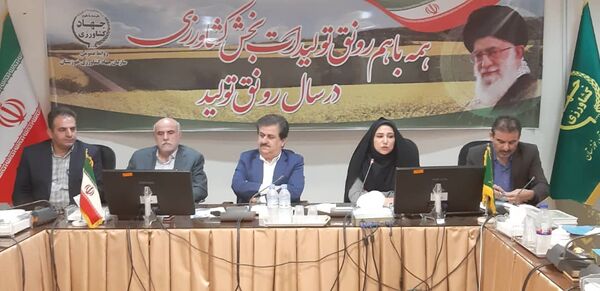 سیاست‌های تشویقی و تخفیف‌های بیمه‌ای برای تولید کنندگان محصولات گواهی شده و ارگانیک در خوزستان