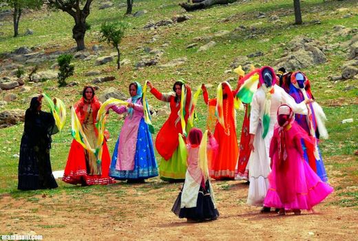 آغاز طرح باسوادکردن زنان و دختران عشایر