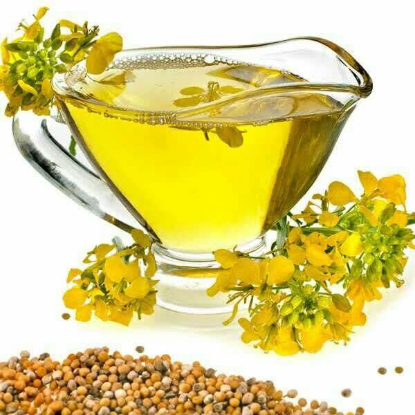 اعطای تسهیلات با کارمزد ۱۰درصد به کلزا کاران صفی آباد