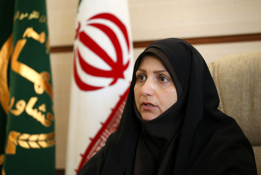 خسارت  2890  میلیارد ریال  تگرک و سرما به محصولات کشاورزی استان قزوین 