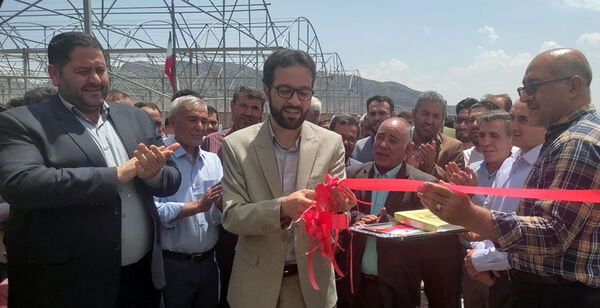 افتتاح و بهره‌برداری از گلخانه هیدروپونیک در شهرستان مرند