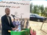 بخش کشاورزی در لرستان ۲۹ درصد اشتغال را تشکیل داده است/ تامین ۱۳ درصد تولید ناخالص ملی
