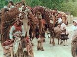 90 هزار نفر از عشایر داوطلب اسکان یافته اند