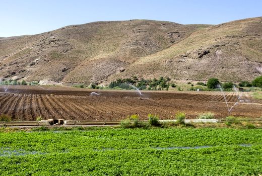 تکمیل سامانه گرمسیری برای رونق کشاورزی ایلام حیاتی است
