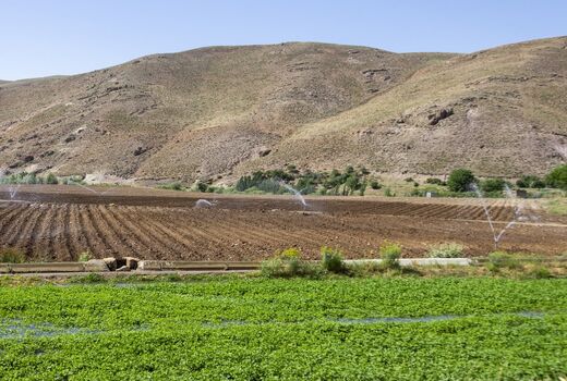 تکمیل سامانه گرمسیری برای رونق کشاورزی ایلام حیاتی است