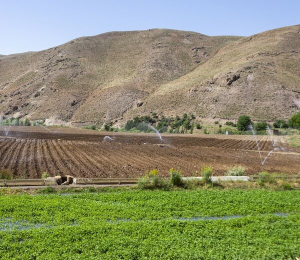 تکمیل سامانه گرمسیری برای رونق کشاورزی ایلام حیاتی است